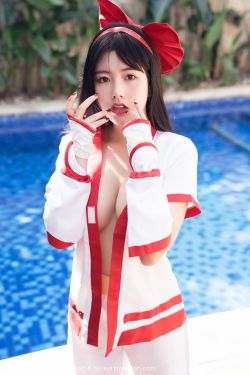 电视剧新女婿时代